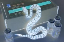 © Alphabiotoxine Laboratory sprl Serpent