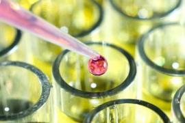 Vésala Pharma crée une filiale de recherche ©CCI Mag Vésala Pharma crée une filiale de recherche ©CCI Mag