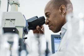 Copyright Fotolia laboratory