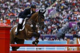 Bridging the obstacles for Belgian horses Bridging the obstacles for Belgian horses